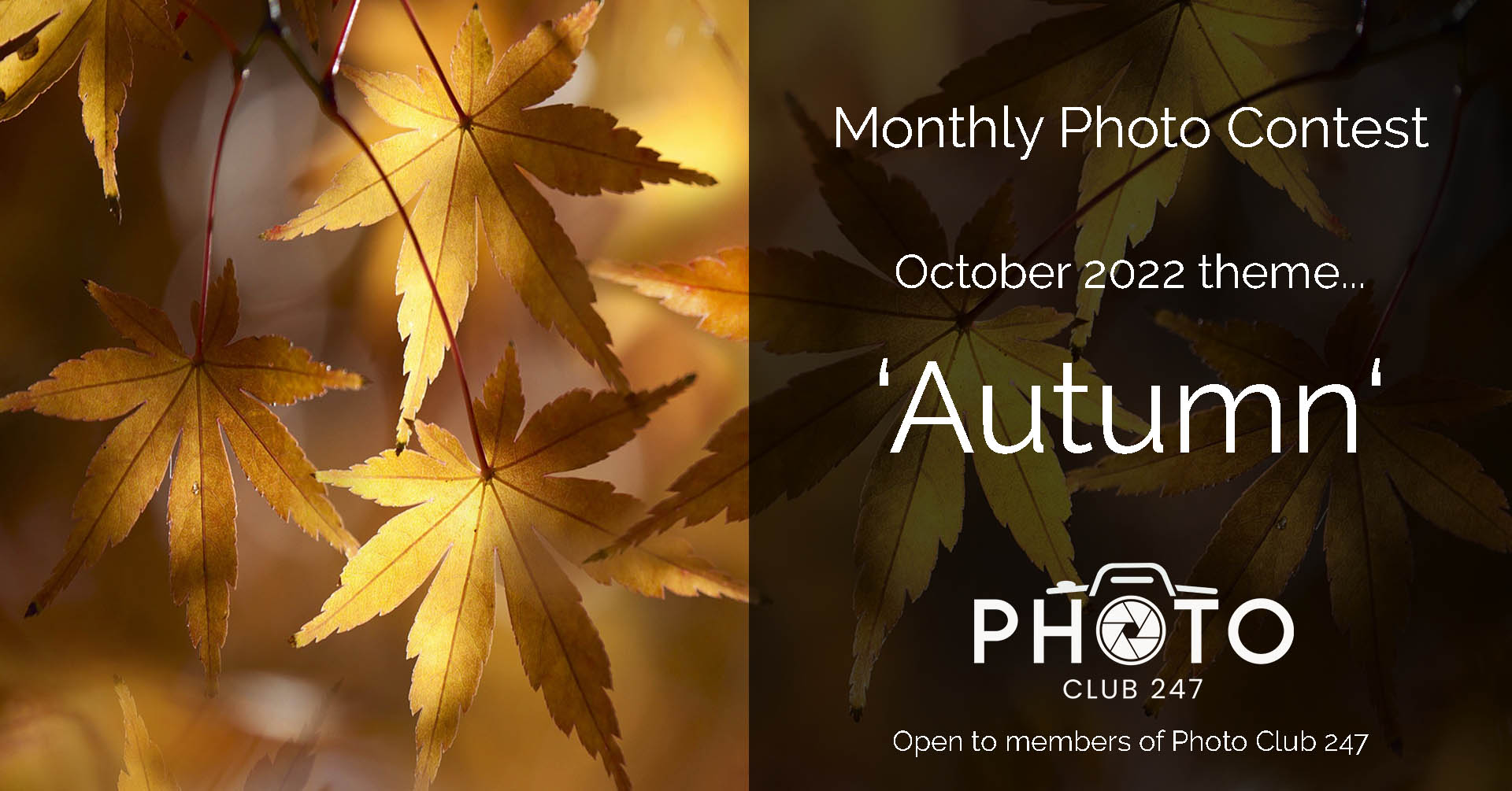 photo-contest-oct-2022-autumn-cover